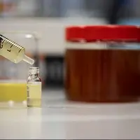 L’analyse microscopique sert principalement à déterminer l’origine botanique du miel via l’étude des grains de pollen.