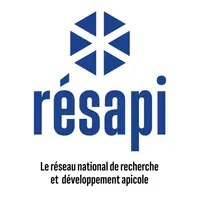 Le logo Résapi, pour les travaux communs des ADA, ADA France et de l'ITSAP.