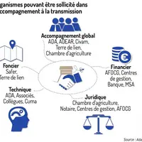 Les structures mobilisables pour vous aider dans votre transmission