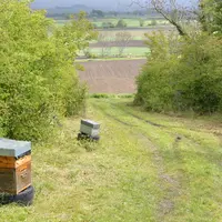 En agriculture comme en apiculture, transmettre son exploitation connait une tendance à la baisse.