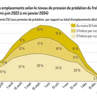 Distribution des emplacements selon le niveau de pression de prédation du frelon par quinzaine (mi-juin 2023 à mi-janvier 2024