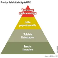 IPM, principe de Lutte Intégrée, 2024
