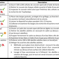 Comment surveiller vos ruches ?