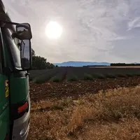 La transhumance, pilier du métier d’apiculteur… malgré les défis