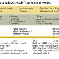 Frise chronologique de l'évolution de l'Itsap depuis sa création