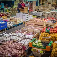 Aujourd'hui, Loc'halle bio commercialise entre 1 000 et 1 200 tonnes de légumes par an, dont 40% sur le Min de Bordeaux, le reste via les réseaux spéc