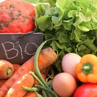 Le bio un marché à 100 miliards