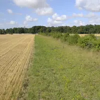 Parcelle d'agriculture bio