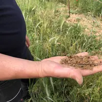homme tenant une poignée de terre dans un champ