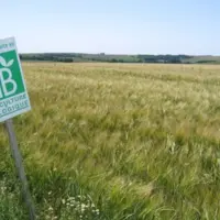 panneau AB dans un champ de céréales