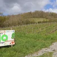 panneau paysan bio installé en bordure de vignes