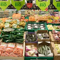 Vente de produits alimentaires biologiques en grande distribution. Rayon légumes bio d une grande enseigne de supermarché.