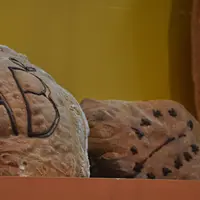 Pain issu de l'agriculture biologique avec les logos AB et le logo bio européen.