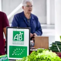 étal de légumes avec une affiche mentionnat qu'ils sont bio