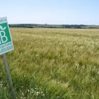 Panneau agriculture biologique à l'entrée d'une parcelle.
