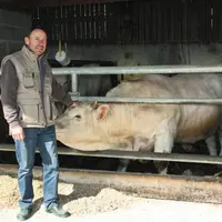 Christian Egon : "Je pèse et classe tous mes animaux avant le départ. Les résultats d'abattoir sont conformes."