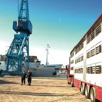 Selon la météo et la vitesse des bateaux, il faut tabler sur un jour et demi pour rallier la Tunisie ou l'Algérie, deux jours pour le Maroc, et cinq j
