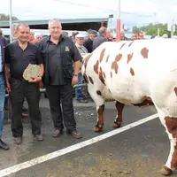 La championne interrace femelle appartenant à Jacky Lelong, éleveur dans la Sarthe, a été vendue à Socopa Cherré pour le Super U de Noisy le Roy 18 eu