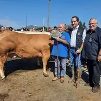 festival de la viande d'evron 2021