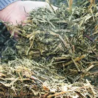 Ensilage de luzerne. Pour limiter les achats extérieurs de protéines grâce à une importance accrue donnée aux surfaces en luzernes, il faut que ces de