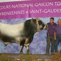 PRIX DE CHAMPIONNAT MALE : Hugo au GAEC de Martinat (09 La Bastide de Sérou)