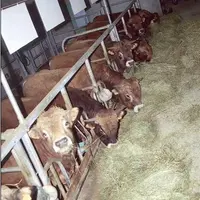 L'évolution du protocole doit permettre une mesure plus précise de l’efficacité alimentaire.