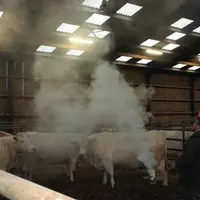 Le test aux fumigènes permet de vérifier les flux d'air dans un bâtiment. 
Le fumigène crée une opacité qui doit disparaître au bout de deux minutes.