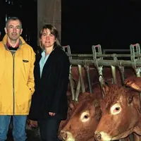 Le fumier des soixante limousines assure la fertilisation des 50 hectares d'herbe.