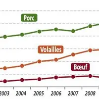 Evolution de la production mondiale de viandes