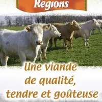 Contrairement à ce que le mot pourrait le laisser supposer « Bœuf de nos régions » concerne tant des mâles que des femelles.