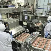 Production de steaks hachés dans l'usine McKey de Fleury-Les-Aubrais.