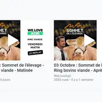 Capture replay sommet Bovins viande concours