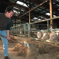 Jonathan Boichut. "A trois quatre mois, les veaux passent à une ration fibreuse à base d'ensilage d'herbe, ce qui développe leur panse et évite de les