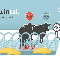 Qwintal-GMQ Live