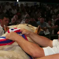 Le « Mondial Charolais 2014 » se déroulera du 26 août au six septembre2014, principalement à la ferme du Marault, au sud de Nevers, dans la Nièvre.