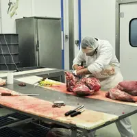 L’atelier de la coopérative atteint aujourd’hui une surface de 800 m2, avec des unités dédiées : abattage de volaille, découpe de carcasses, transform