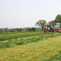 Les prairies de fauche sans apport d’engrais organiques représentent les plus forts risques de carence en soufre.