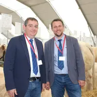 herd-book Charolais