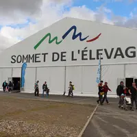 sommet de l'elevage