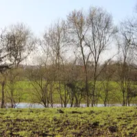 prairie inondée