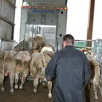 « On ne sait rien du passé sanitaire de vos broutards quand ils descendent des camions. » remarque Daniele Bonfante.