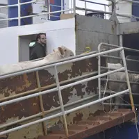 Chargement d’un bateau pour l’Algérie depuis le port de Sète.
