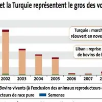 Forte dynamique dans la zone proche et Moyen Orient