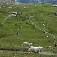 L’initiative «vallée bio » commence à s’ancrer dans le nord des Hautes-Alpes.