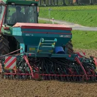 Pour un semis de fin d'été, l'éventuel labour et la préparation du sol doivent être réalisés dans le laps de temps le plus court possible afin d'évite