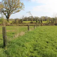 agroforesterie intraparcellaire