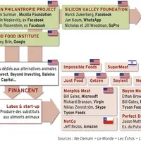 graph financement des mouvements vegan
