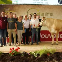 Blonde d'Aquitaine Aquitanima 2019