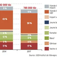 graph évolution des ventes de viande bovine dans la grande distribution