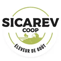 logi Sicarev
